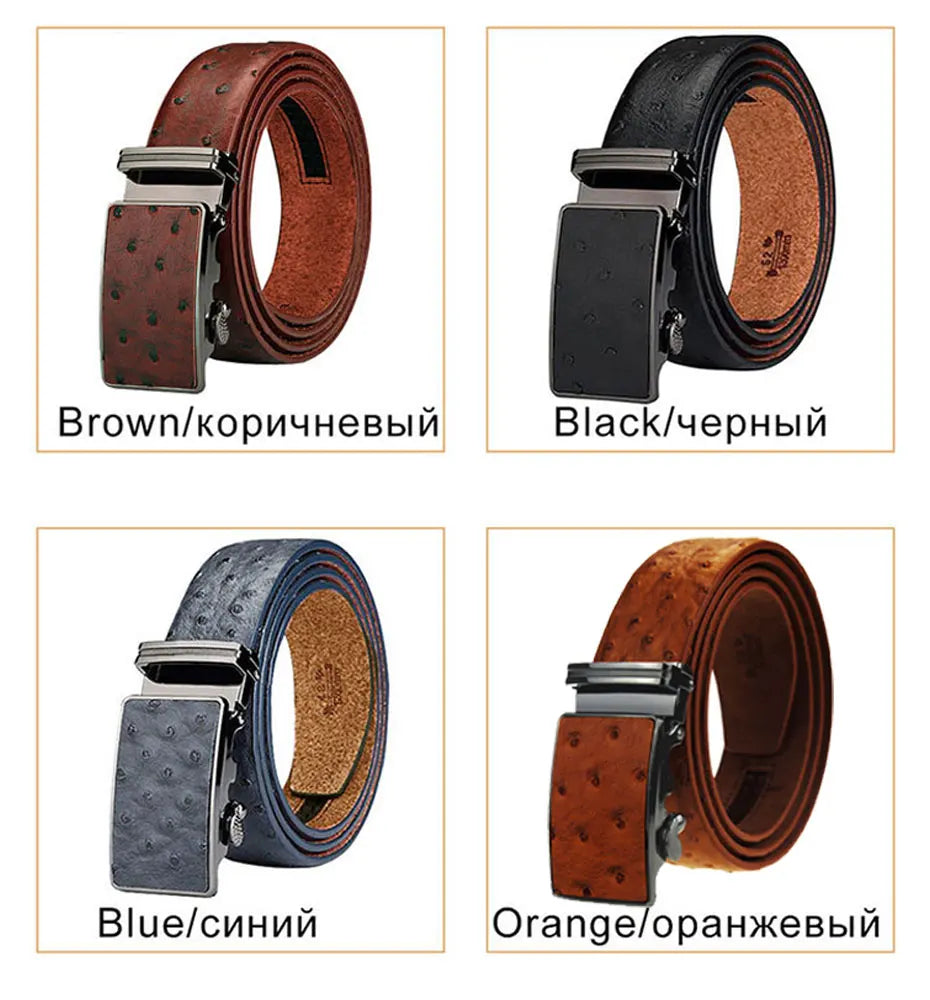 Maikun Luxury Leather Belt for Men Original Designt Ostrich Grain Automatic Buckle Belt Ceinture Homme Cinto Masculino