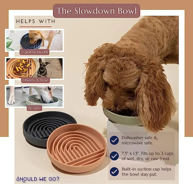 Pet supplies Slow Food Bowl Cat Anti-Knockover Anti-Slip Food Bowl Puppy Anti-choking Silicone Toy Food Plate