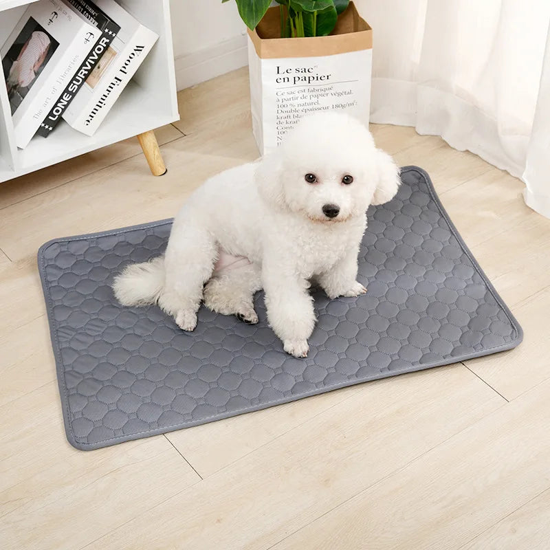 Reusable Dog Pee Pad Blanket Absorbent Diaper Washable Puppy Training Pad Pet Bed Urine Mat for Pet Car Seat Cover Pet Supplies