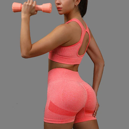 Women's Yoga Sports Bra+Shorts Workout Set