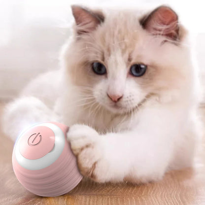 Interactive Cat Toy Ball 360° Automatic Rotating Rolling Ball Accessories for Cats Toys With USB Charging Function Pet Things