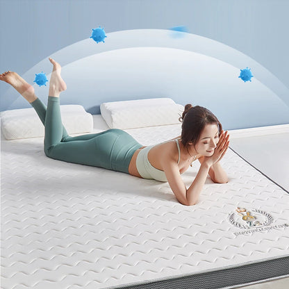 Latex Mattress Upholstered Household Tatami Mat Student Dormitory Single King Size Bed Memory Foam Mattress Bed queen 매트리스