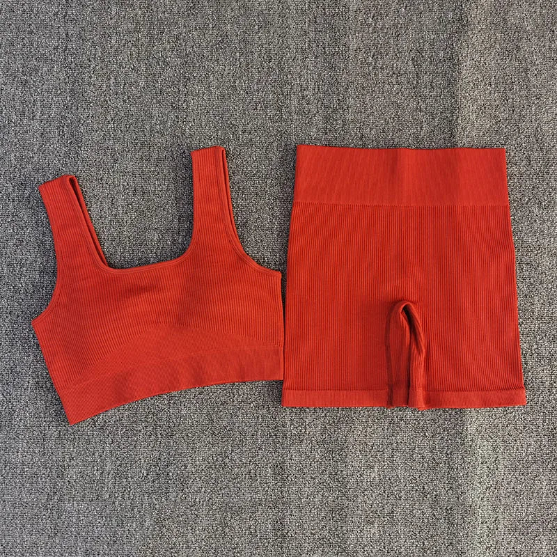 2 PCS Women Sporstwear Seamless Yoga Set Sexy Sport Bra with High Waist Shorts Gym Clothing Fitness Sleeveless Tracksuit