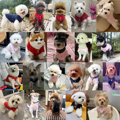 Fashion Dog Clothes Summer Dog Thin Shirt Cute Puppy Vest Soft Pet Cat Shirt Breathable Dog Vest Chihuahua Clothes Pet Cat Vest