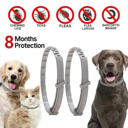 New 38/70CM Pet Anti Flea Ticks Antiparasitic Cats Collar Dog Protection Retractable Collars For Puppy Cat Large Dogs Accessorie