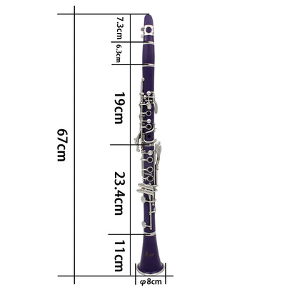 SLADE Bb Clarinet 17 Keys Bakelite Wooden Professional Woodwind Instrument Clarinette With Box Reed Musical Instrument Parts