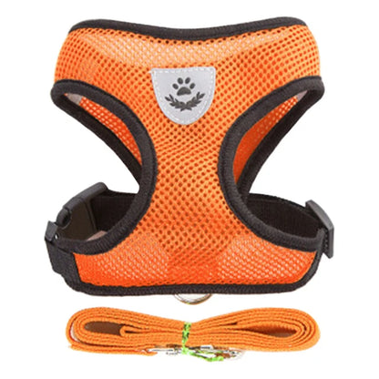 Cat Harness Adjustable Vest Walking Traction Rope Set for Dog Collar Breathable Mesh Harness for Small Medium Cat Dog Pet Lead