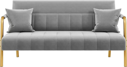 56.5" W Modern Loveseat 2 Seater Sofa Luxurious Velvet Fabric Couch with Gold-Tone Metal Arms and Legs for Bedroom, Studio Pink