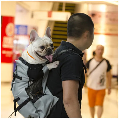 Hiking Pet Dog Carrier Travel Backpack Outdoor Ventilation Breathable Bicycle Motorcycle Outdoor Sport Mesh Bag Drop Shipping