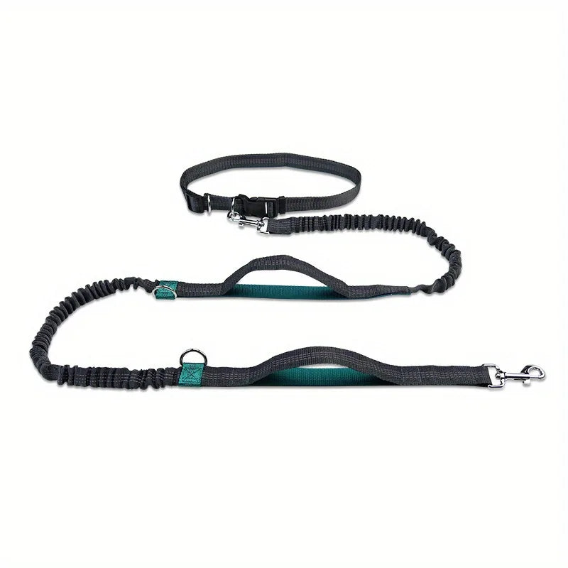 Dog Running Leashes Hands Freely Jogging Pull Lead Dog Accessories Leash For Large Dogs Traction Rope Pet Dog Supplies