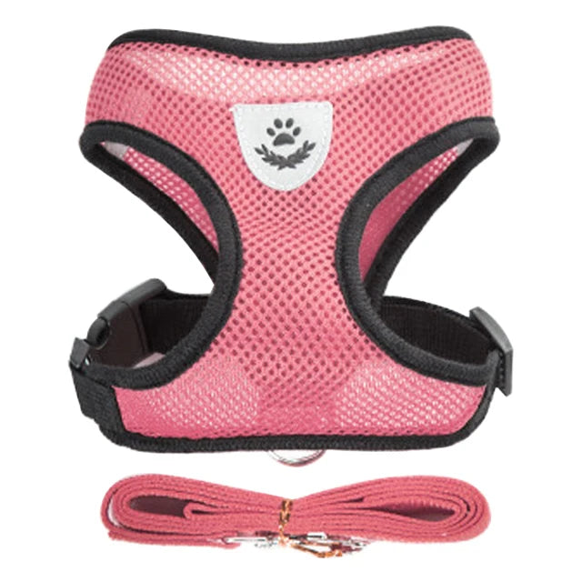 Cat Harness Adjustable Vest Walking Traction Rope Set for Dog Collar Breathable Mesh Harness for Small Medium Cat Dog Pet Lead