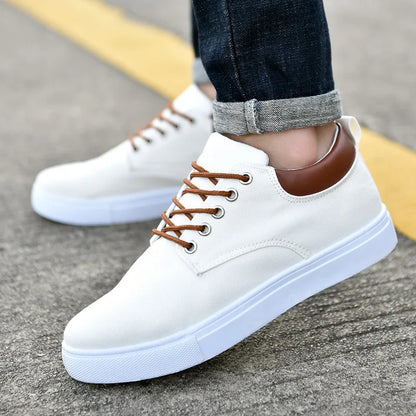 Casual Canvas Man Shoes New Canvas Shoes Men's Shoes Men's Casual Shoes Flat Shoes Men's Driving Sneakers Men's Shoes