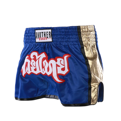 MMA Shorts for Kids & Adults, Muay Thai Shorts Boxing, Embroidered, Martial Arts Clothing for Muay Thai and Taekwondo Training